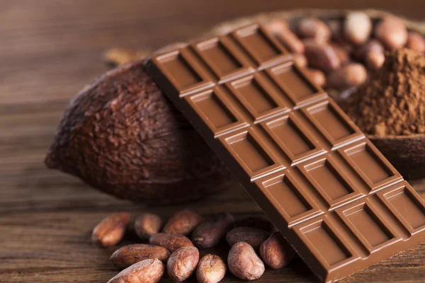 Chocolate bars, cacao beans and powder — Stock Photo, Image