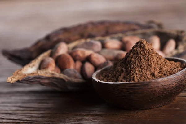 Kakao çekirdekleri ve toz — Stok fotoğraf