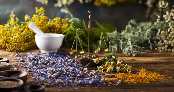 Kruiden, bessen en bloemen met mortel — Stockfoto