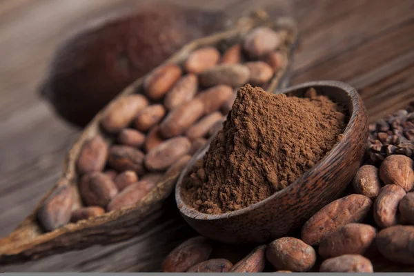 Vaina de cacao y polvo — Foto de Stock