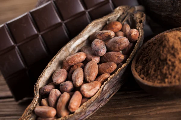 Cacao aromatico e cioccolato — Foto Stock