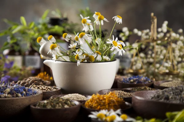 Herbes et mortier sur table en bois — Photo