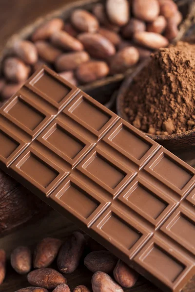 Chocoladerepen, cacao bonen en poeder — Stockfoto