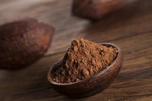 Vaina de cacao y polvo —  Fotos de Stock