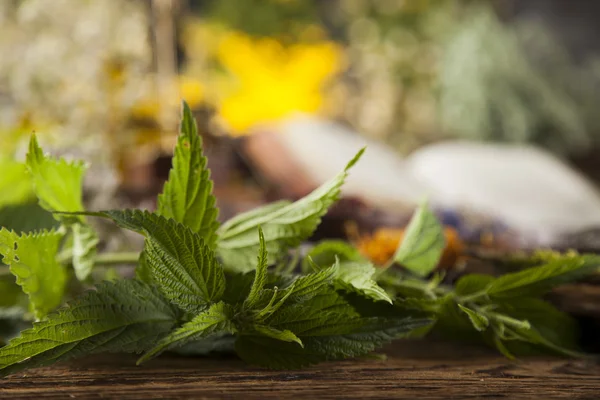 Book and Herbal medicine on wooden table — Stock Photo, Image