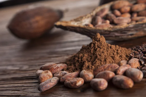 Kakao çekirdekleri ve toz — Stok fotoğraf