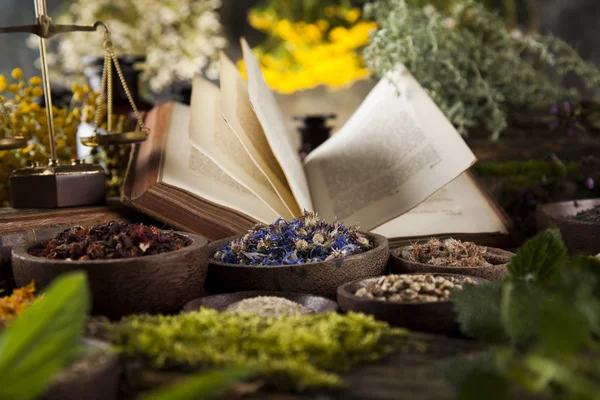 Buch und Kräutermedizin auf Holztisch — Stockfoto