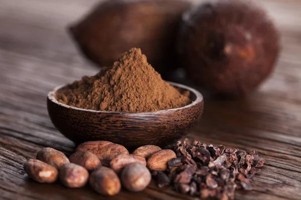 Judías de cacao y polvo —  Fotos de Stock