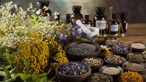 Herbes de guérison sur un bureau en bois — Photo