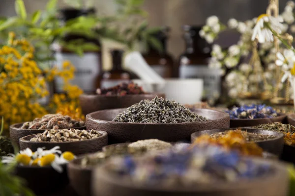 Dried herbs and mortar — Stock Photo, Image