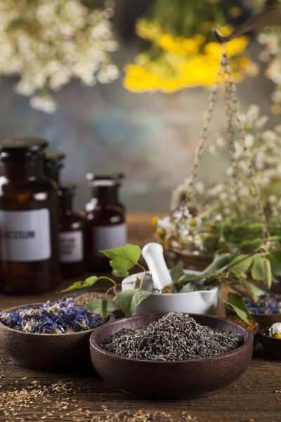 Ervas medicinais, remédio natural e argamassa — Fotografia de Stock