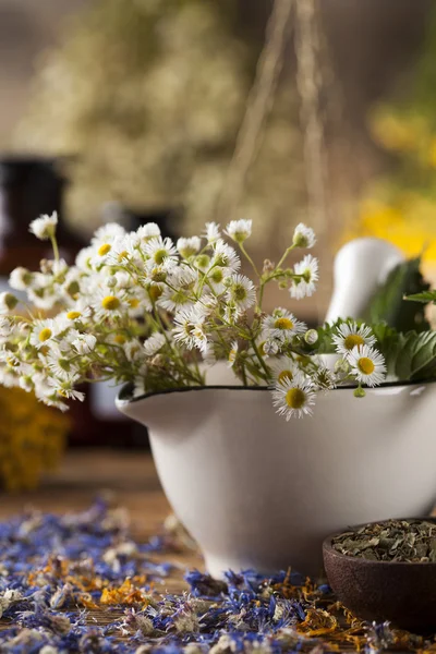 Herbs, berries and flowers with mortar — Stock Photo, Image