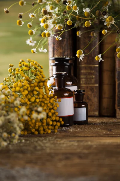 Healing herbs on wooden desk — Stock Photo, Image