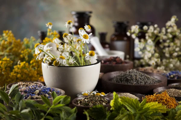 Dried herbs and mortar — Stock Photo, Image