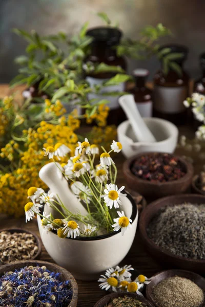 Kruidengeneeskunde op houten bureau — Stockfoto