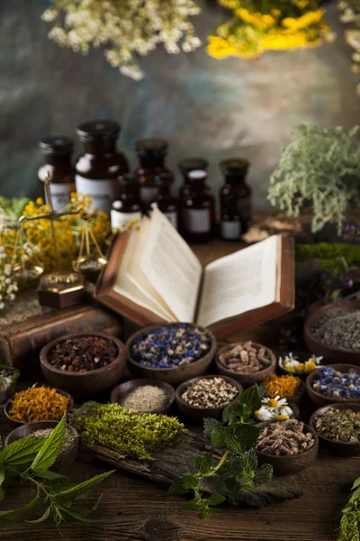 Medicina herbal e livros sobre mesa de madeira — Fotografia de Stock