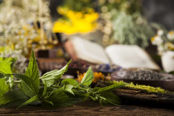 Buch und Kräutermedizin auf Holztisch — Stockfoto