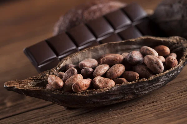 Baccello di cacao e fagioli di cacao — Foto Stock