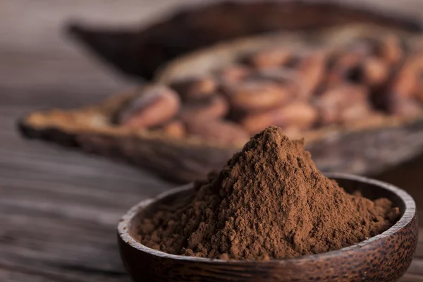 Judías de cacao y polvo —  Fotos de Stock