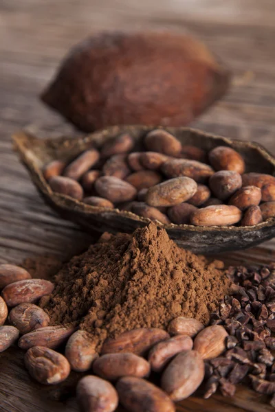 Какао и порошок — стоковое фото