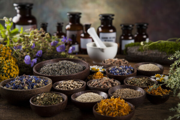 Herbs, berries and flowers with mortar