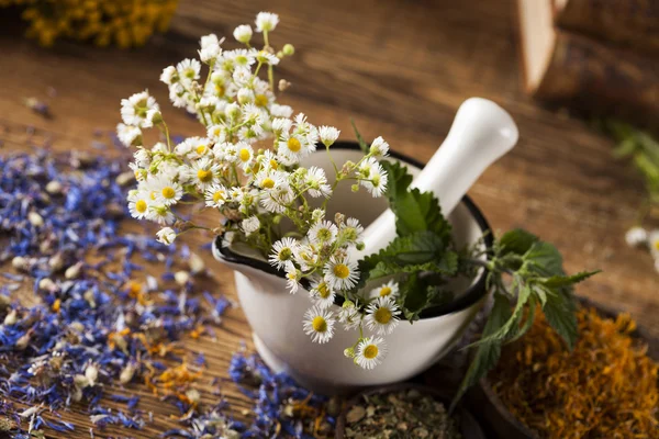 Heilkräuter auf Holztisch — Stockfoto