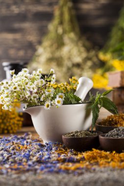 Otlar, meyveler ve çiçekler harç ile