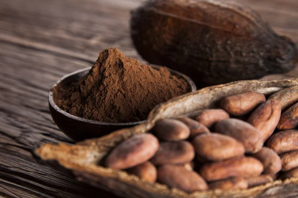 Frijoles de cacao en la vaina de cacao seco — Foto de Stock