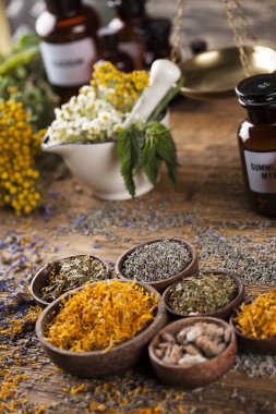 Otlar, meyveler ve çiçekler harç ile