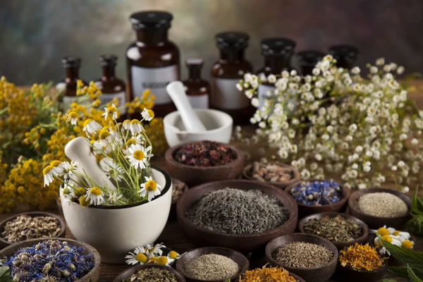 Medicine bottles and herbs — Stock Photo, Image