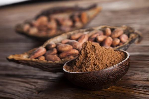 Cacao beans and powder — Stock Photo, Image