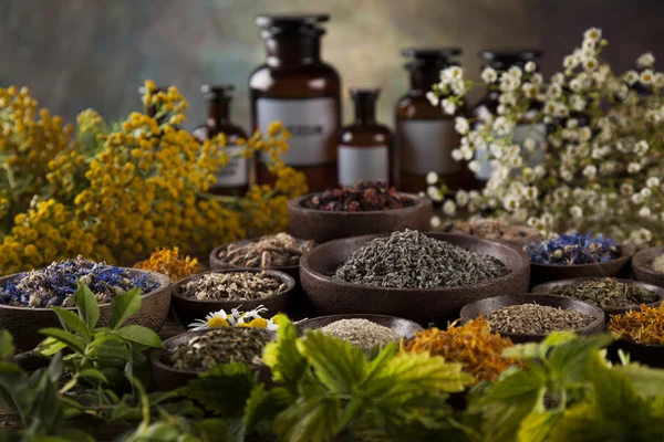 Healing herbs on wooden desk — Stock Photo, Image