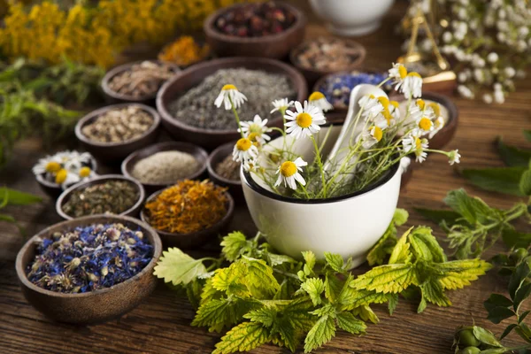 Dried herbs and mortar — Stock Photo, Image