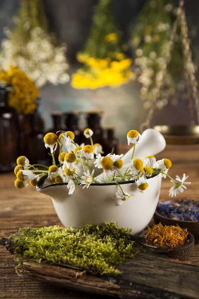 Kruiden, bessen en bloemen met mortel — Stockfoto