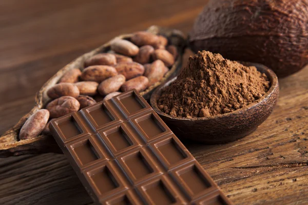 Chocoladerepen, cacao bonen en poeder — Stockfoto