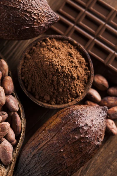 Sjokoladeplater, kakaobønner og pulver – stockfoto