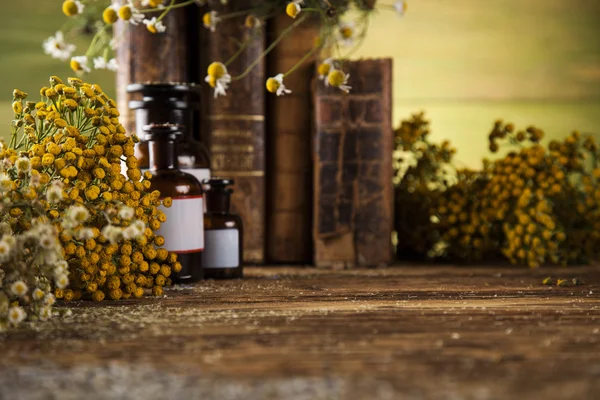 Medicina herbal e livros sobre mesa de madeira — Fotografia de Stock