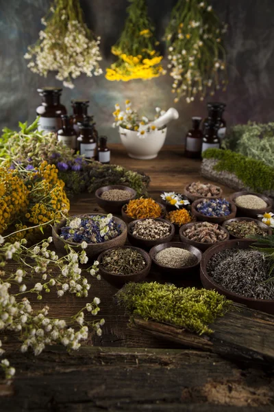 Dried herbs and mortar — Stock Photo, Image