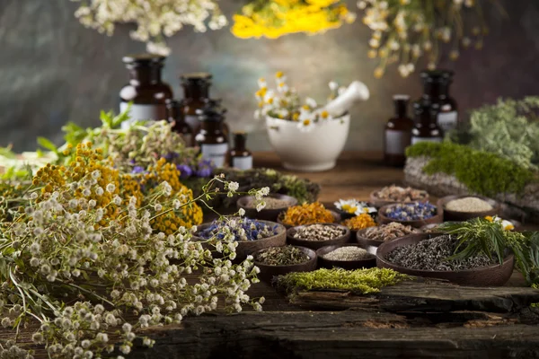 Healing herbs on wooden desk — Stock Photo, Image