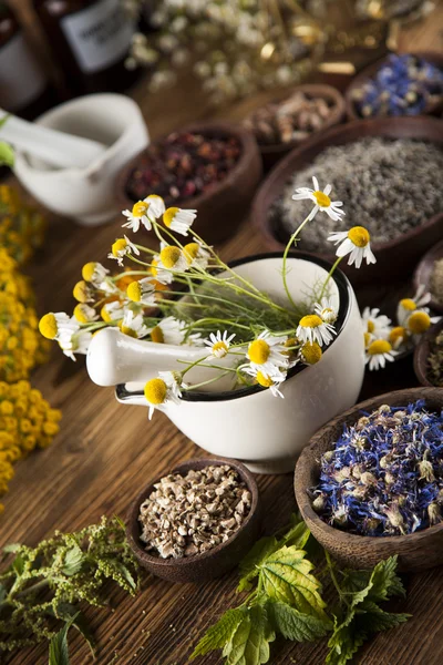 Medicina herbal en escritorio de madera — Foto de Stock