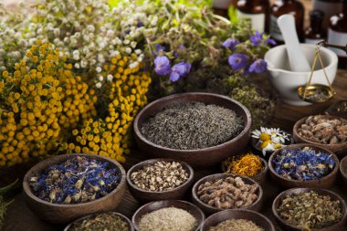 Taze tıbbi, şifalı otlar 