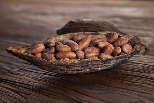Какао-стручок на деревянном столе — стоковое фото
