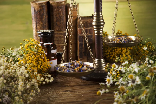 Healing kruiden op houten bureau — Stockfoto