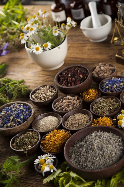 Dried herbs and mortar — Stock Photo, Image