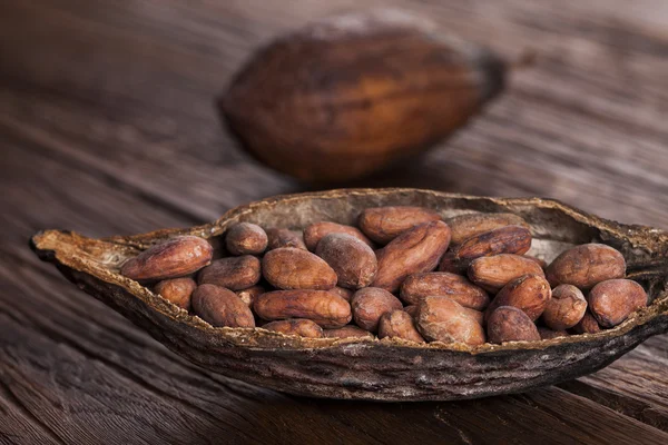 Vaina de cacao sobre fondo de madera —  Fotos de Stock