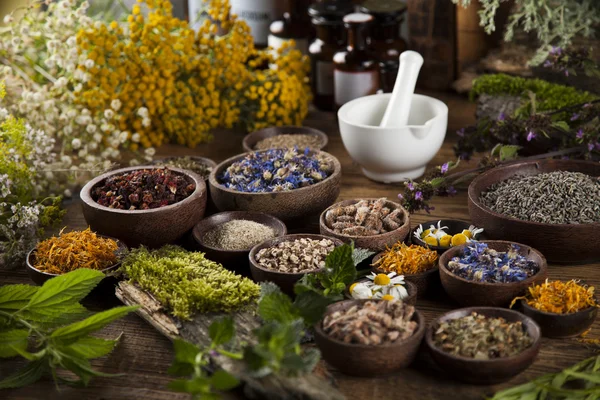 Gyógynövények, bogyók, virágok, habarcs — Stock Fotó