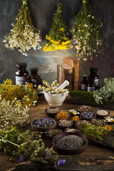 Assorted natural medical herbs and mortar — Stock Photo, Image
