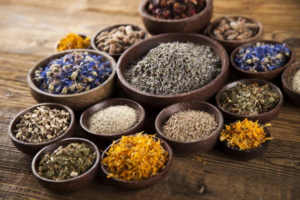 Healing herbs on wooden desk — Stock Photo, Image