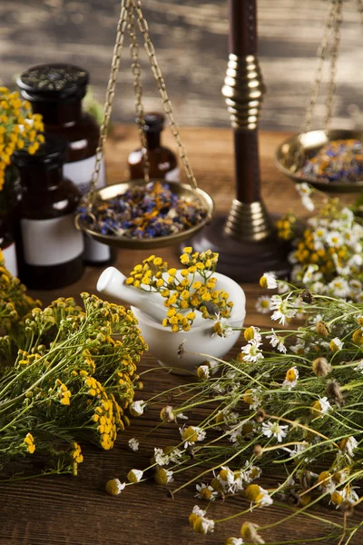 Healing kruiden op houten bureau — Stockfoto