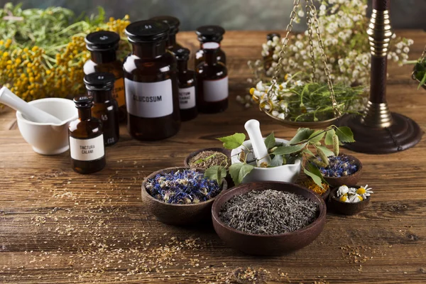 Medicine bottles and herbs — Stock Photo, Image